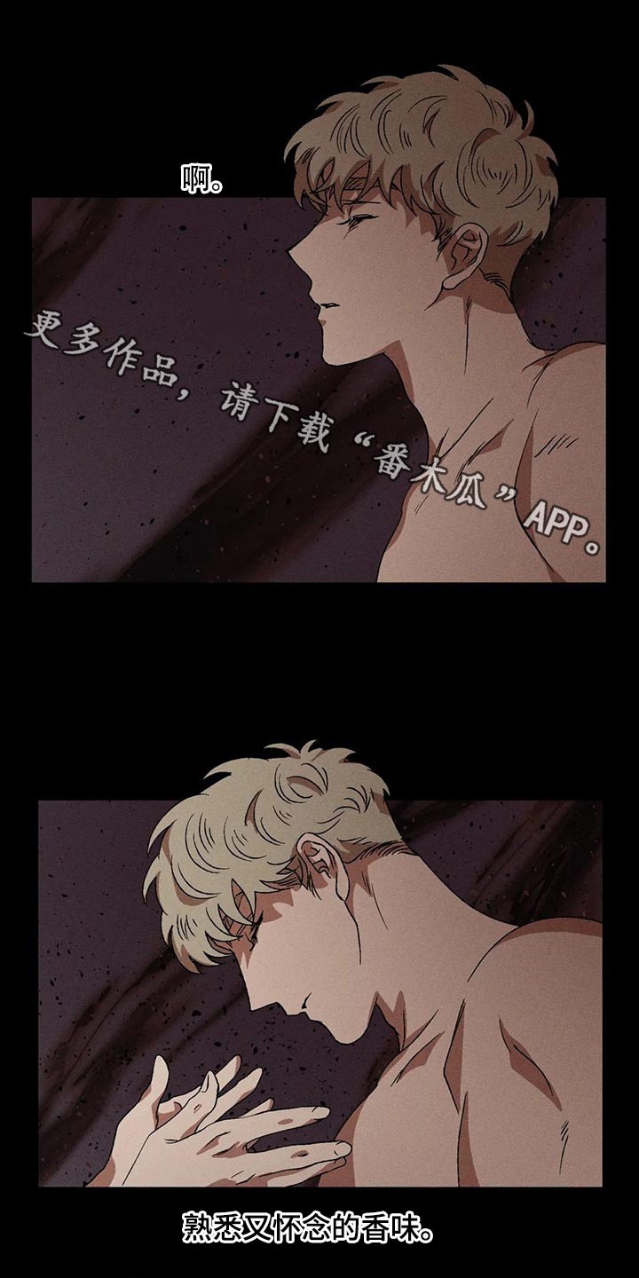 多重曝光详细教程漫画,第90章：发生了什么1图