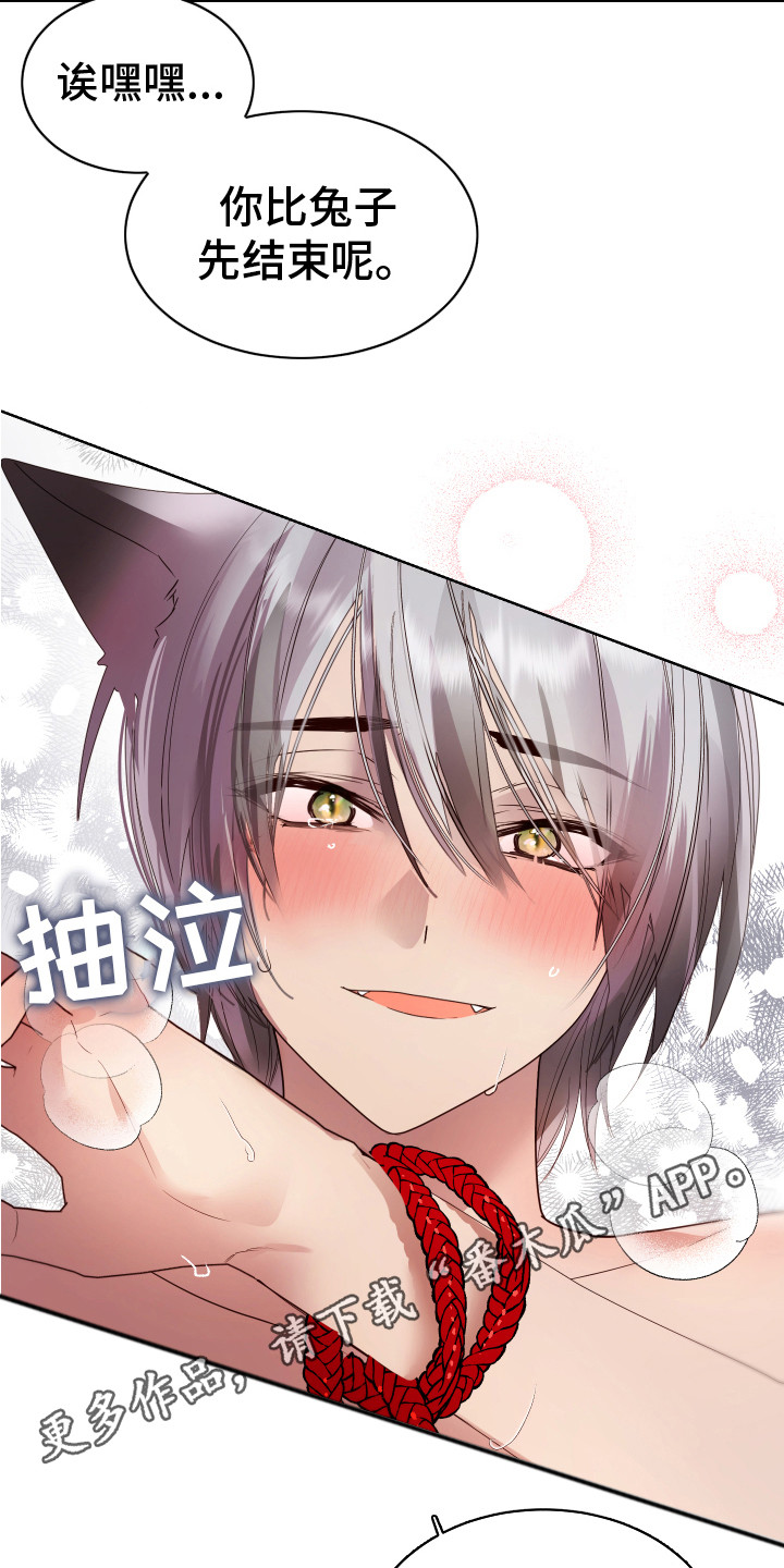 兔兔影视解说漫画,第13章：很华丽5图