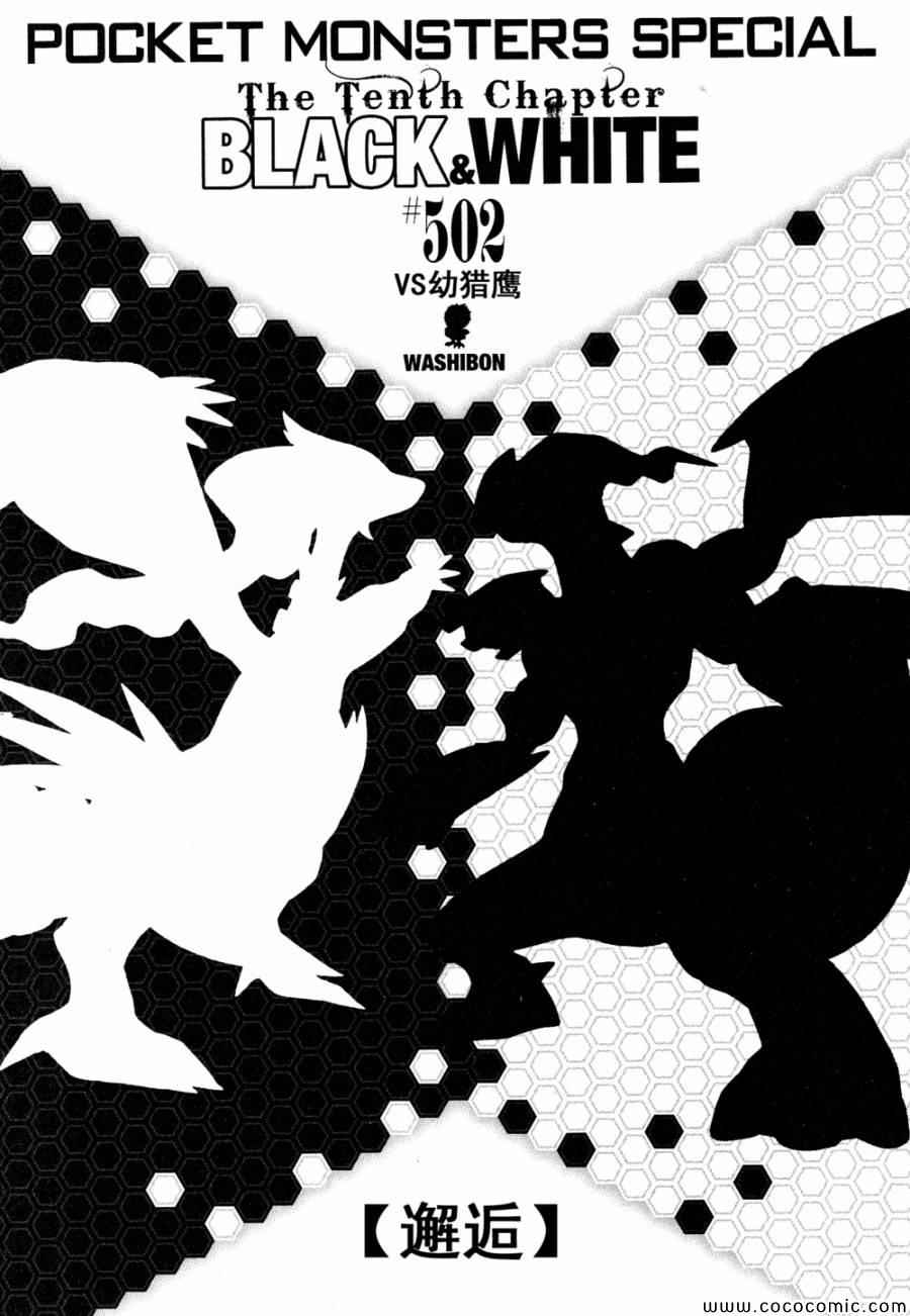 第502话 VS幼猎鹰0